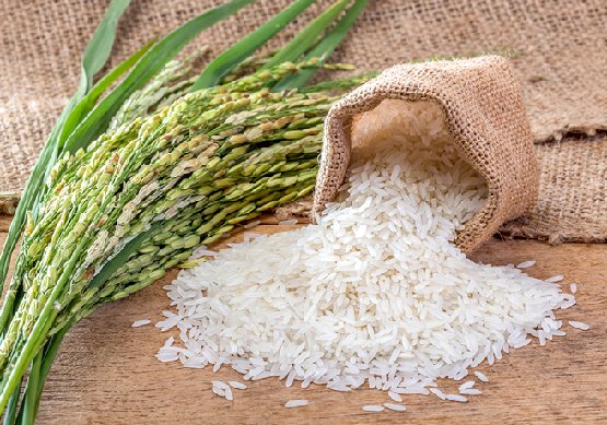 rice